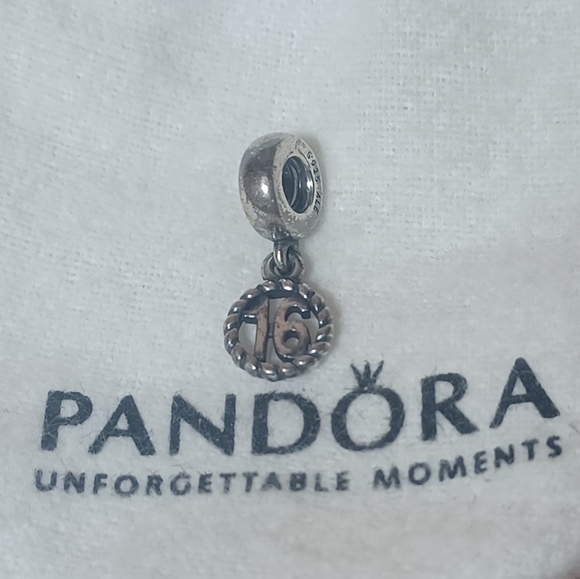 Ｍｅｅｔ ｙｏｕｒ Ｐｏｓｈｅｒ， Ｓｔｅｖｅｎ - Picture 5 of 13